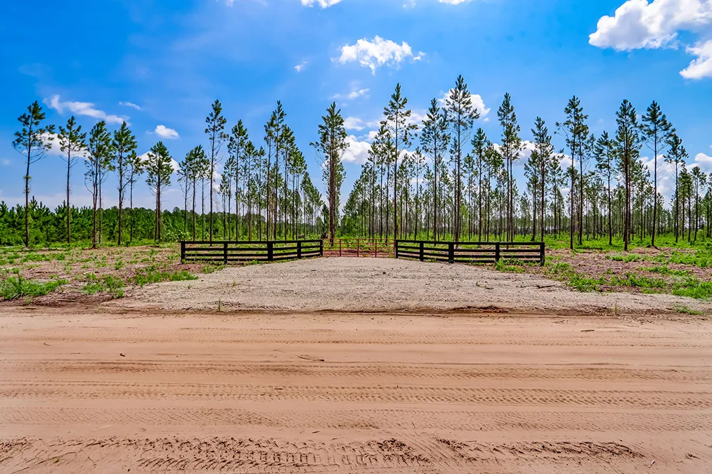 Bay Farms 9