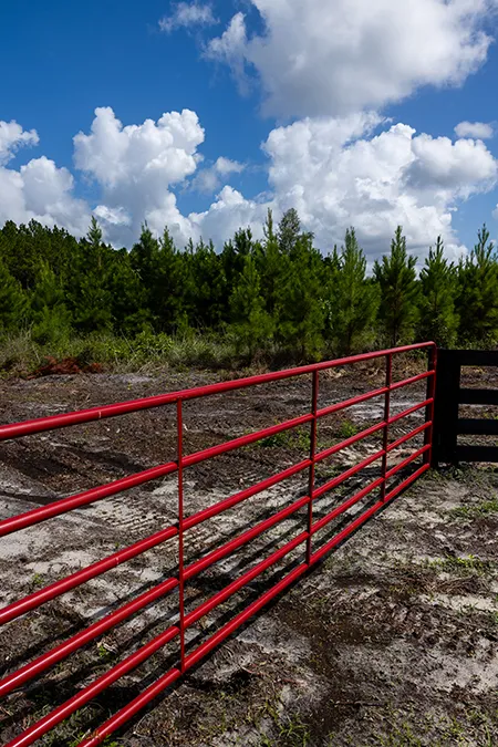 Old Cypress Farms Gate Vertical