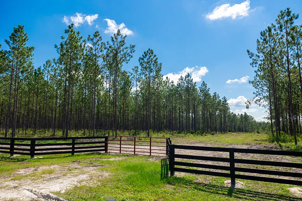 Hampton Pines Gate 4