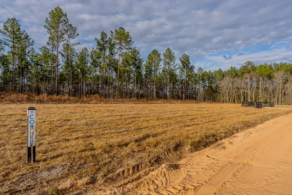 LANES CREEK FARMS H 6 2