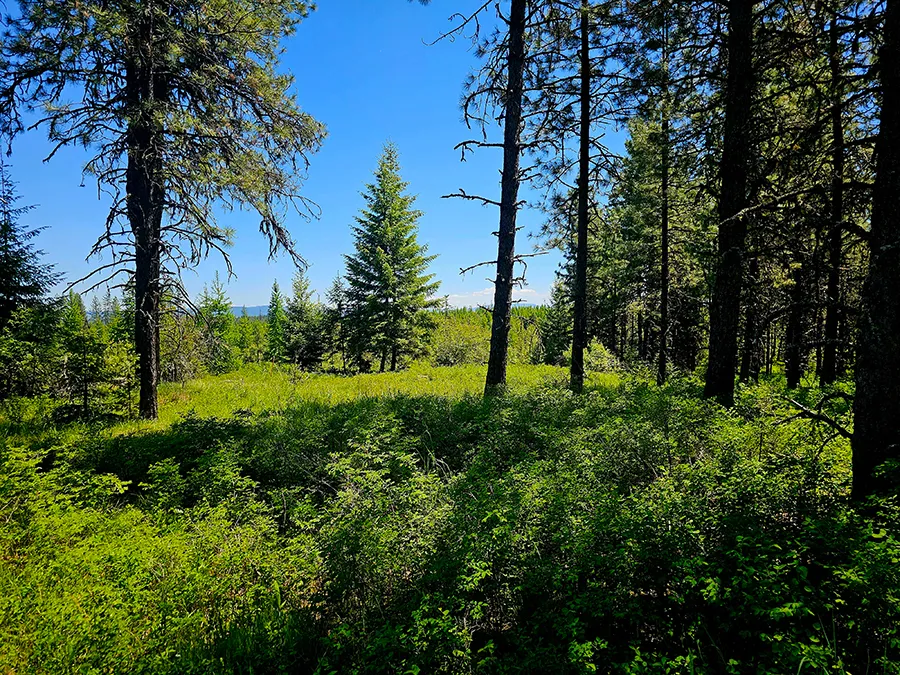 Timberline Heights Land 2