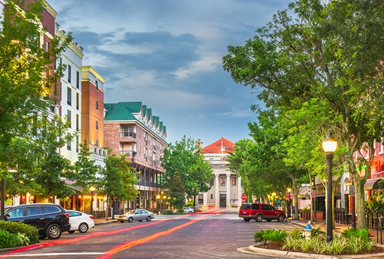 Florida City Gainesville 3