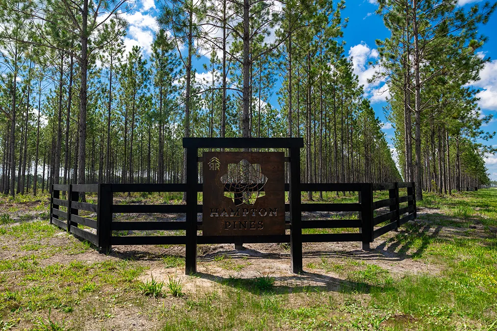 Hampton Pines Sign 3