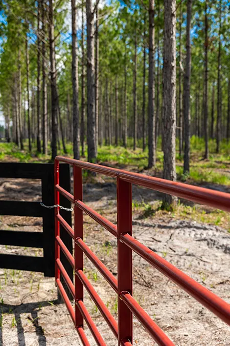 Hampton Pines Gate Vertical