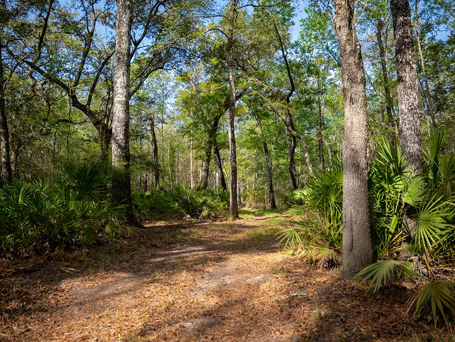 Riverhavenproperties 29