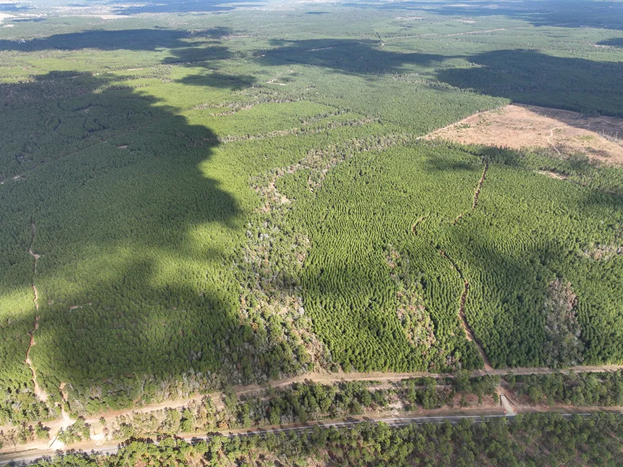 Walker Preserve Aerial