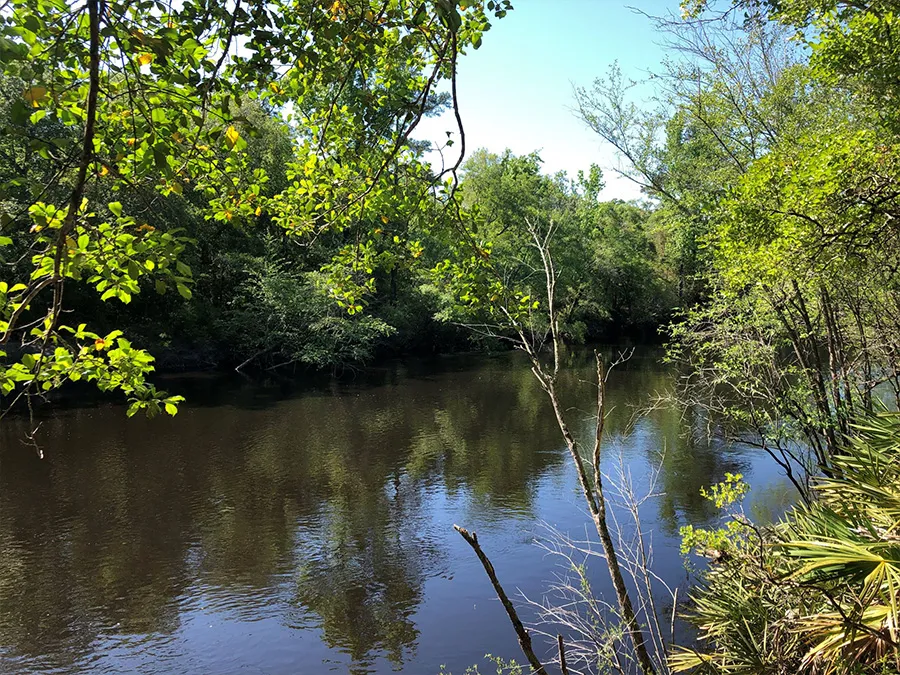 The Refuge Featured