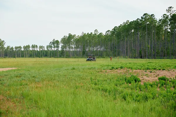 Brandy Branch Lot 4 Quad