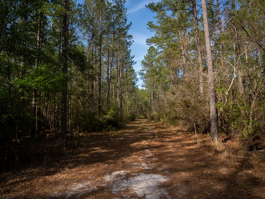 Riverhavenproperties 32