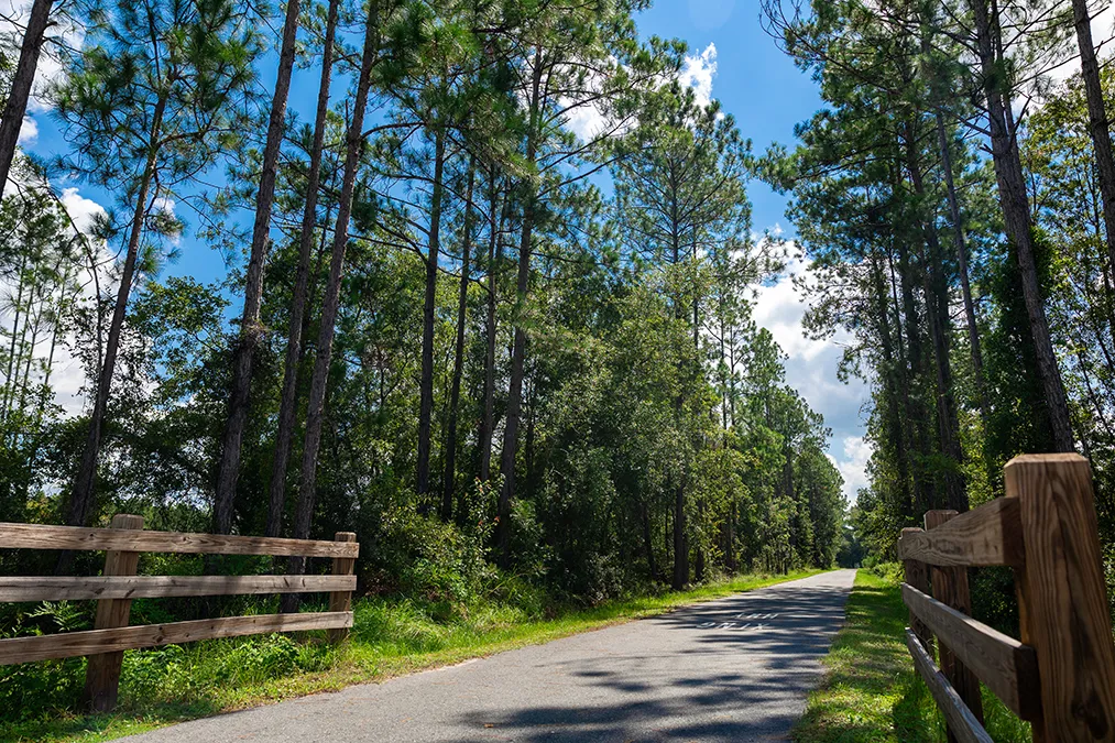 Hampton Pines Palatka State Trail Entrance