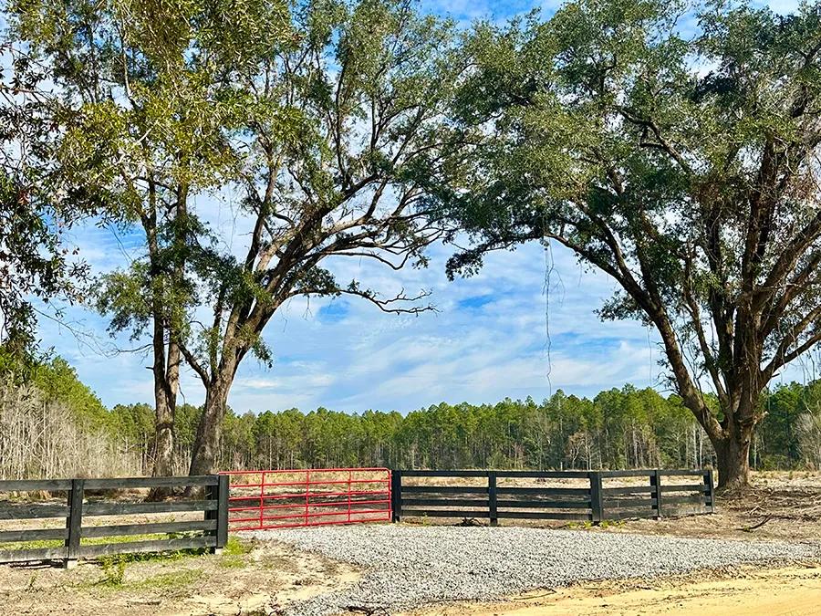 Lanes Creek Farms 7269