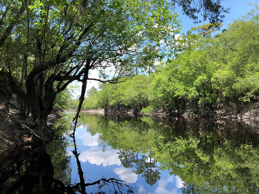 Riverhaven1 2
