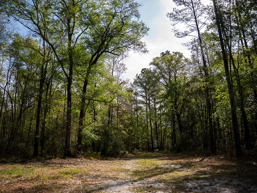 Riverhavenproperties 33
