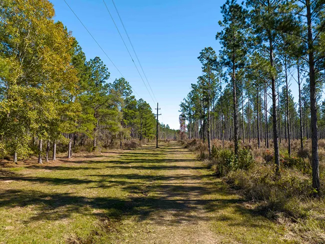 Gander Way Featured