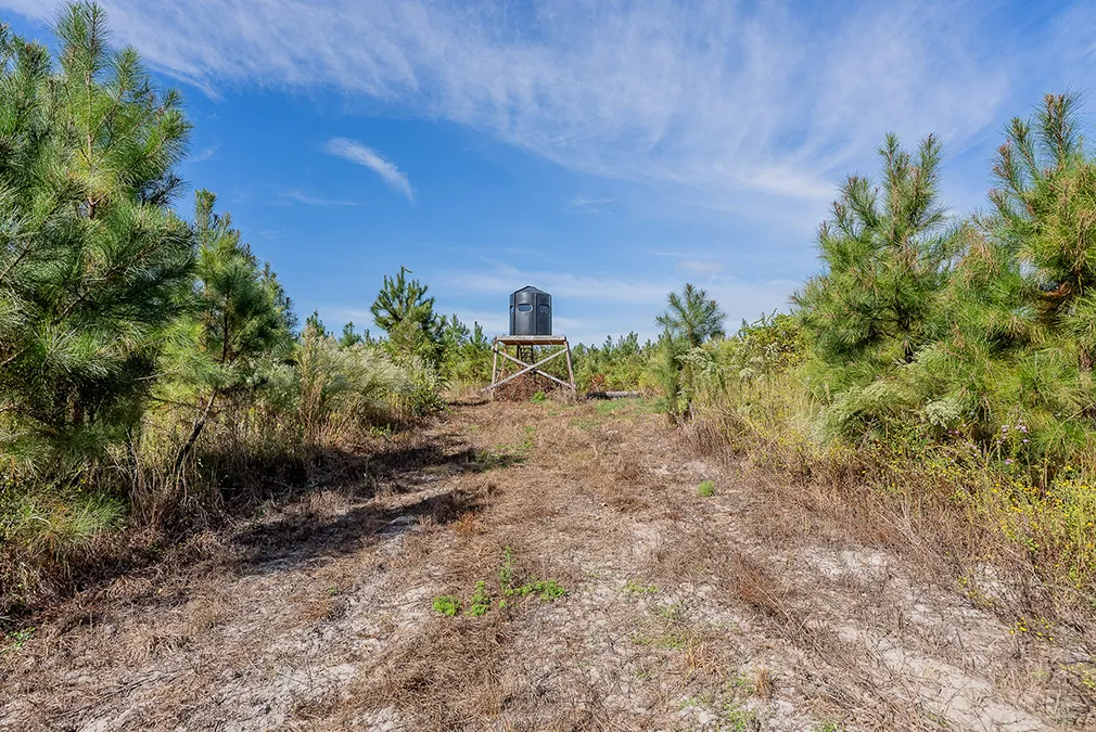 Little Alligator Creek 8