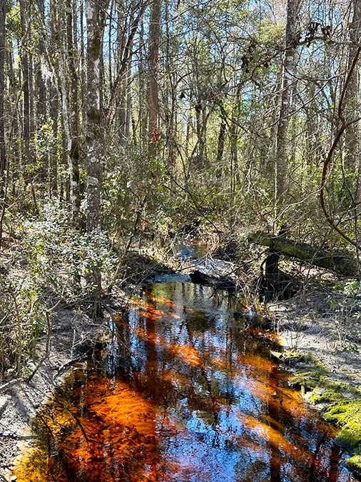 Falling Creek Water