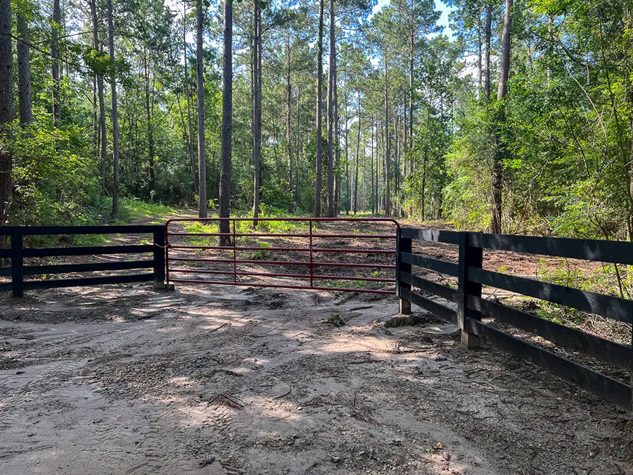 Skinnercreek 13