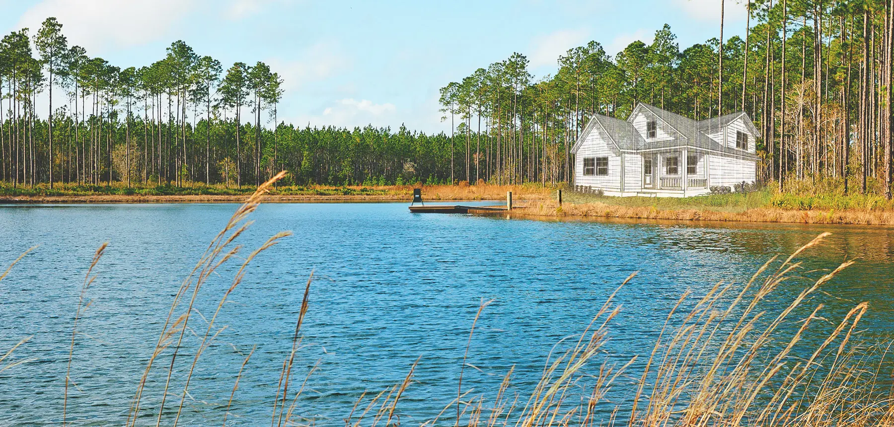 Hero Brandy Branch Dream