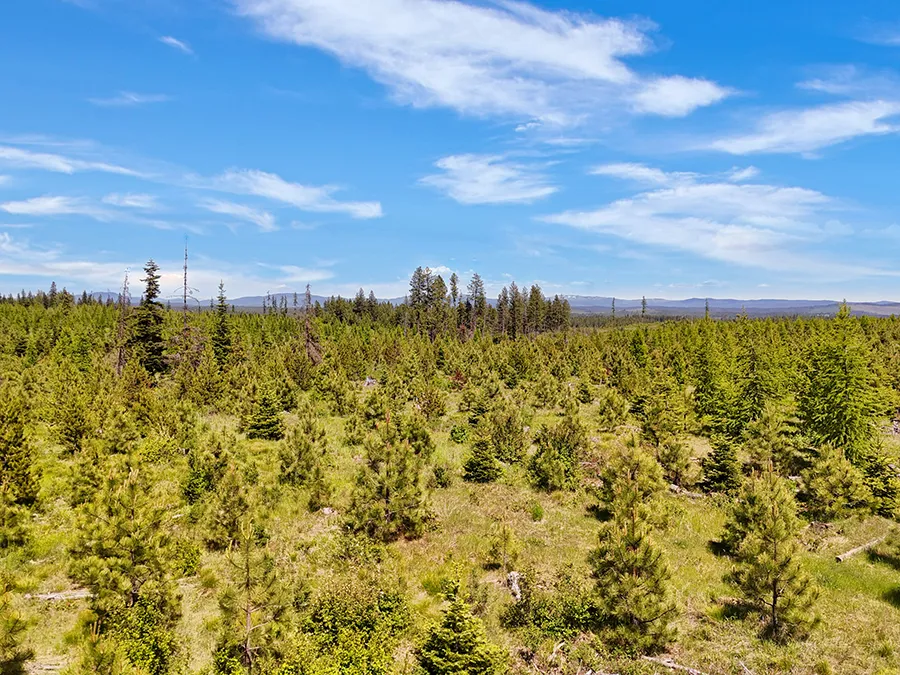 Timberline Heights Parcel 3