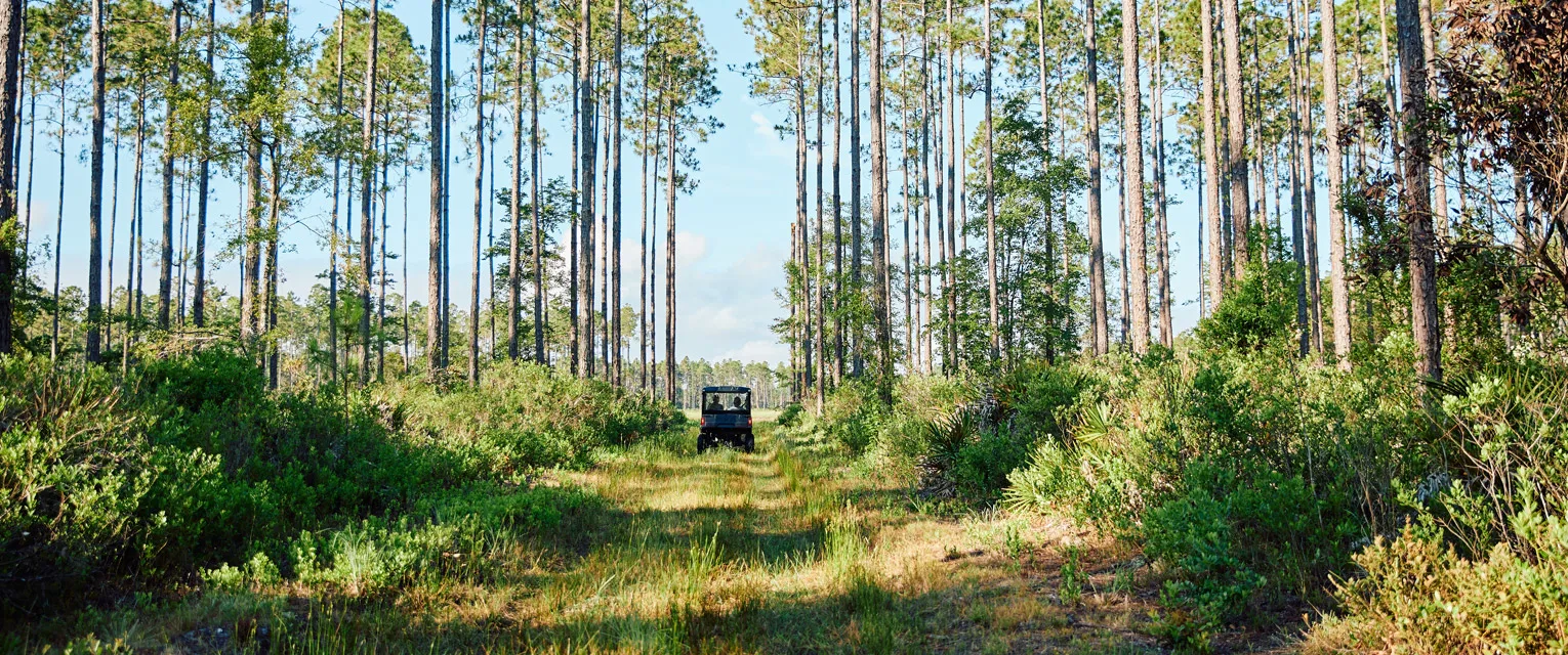About Quad Trail