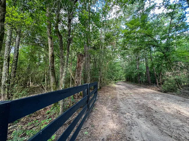 Skinnercreek Featured