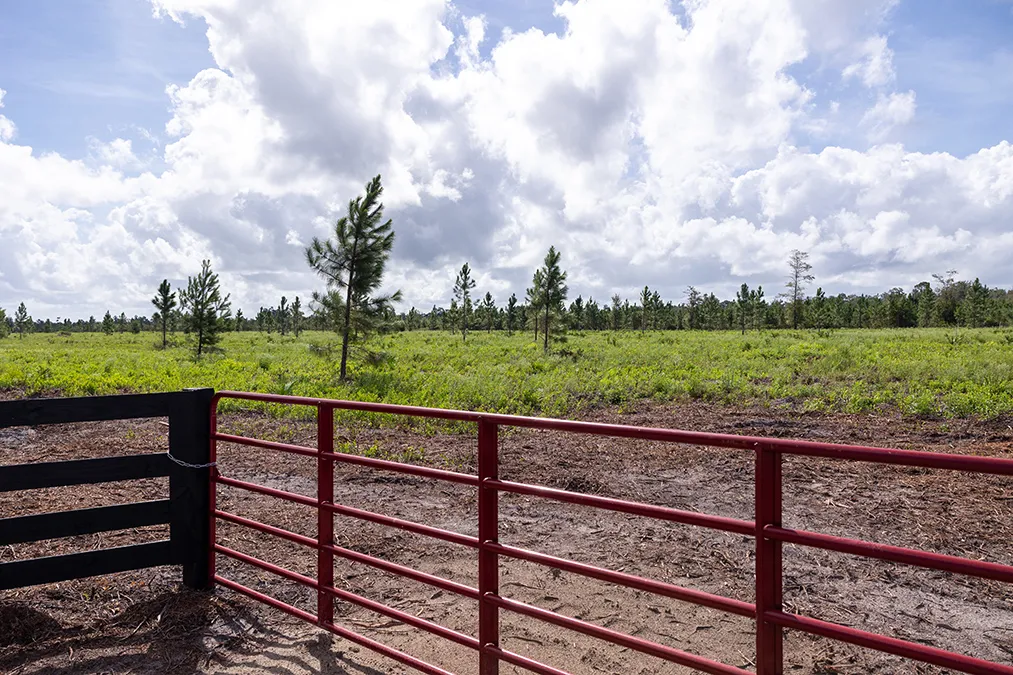 Raydient Davisfarms 02
