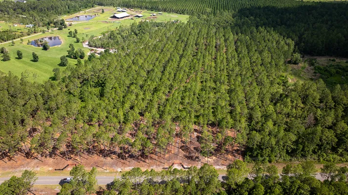 Crawford Woods Lot 4
