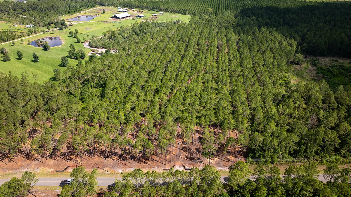 Crawford Woods Lot 4