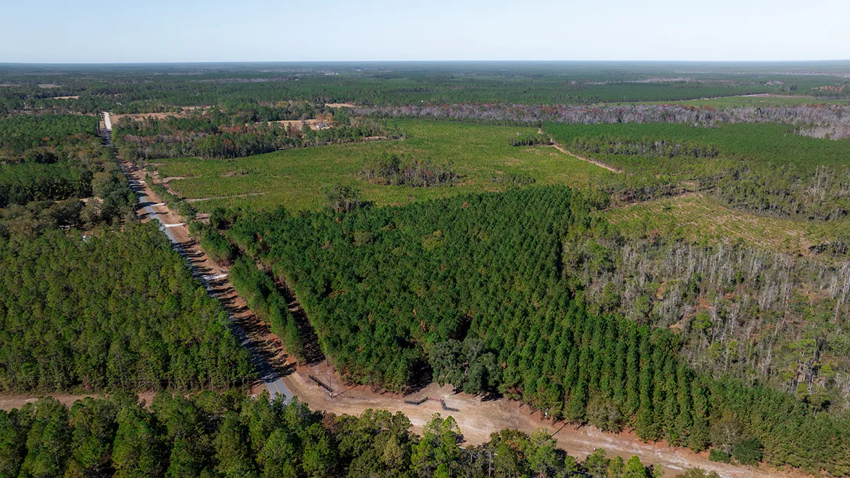 Cedarhill Aerial 1 6 2