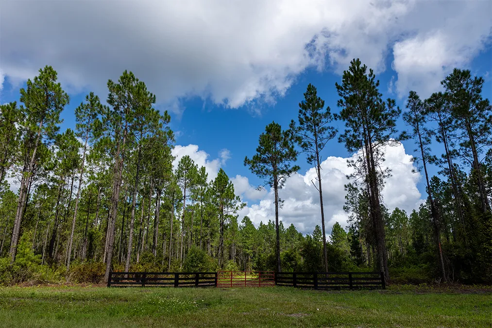 Old Cypress Farms Gate
