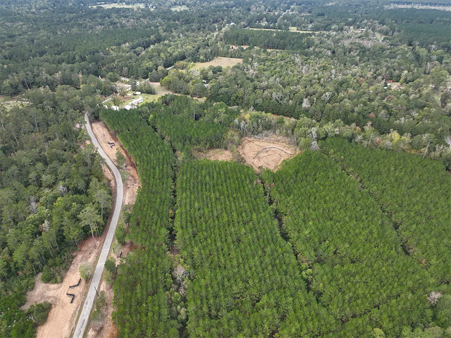 Gaylor Creek 4