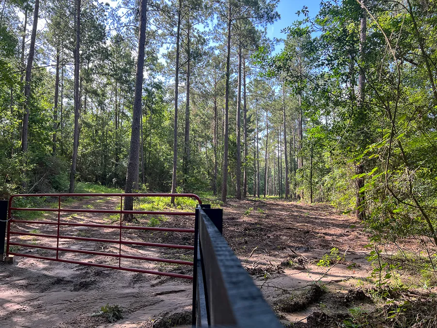 Skinnercreek 14