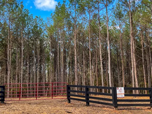 Sugar Hill Lot 9