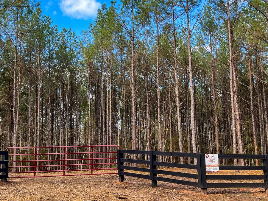 Sugar Hill Lot 9