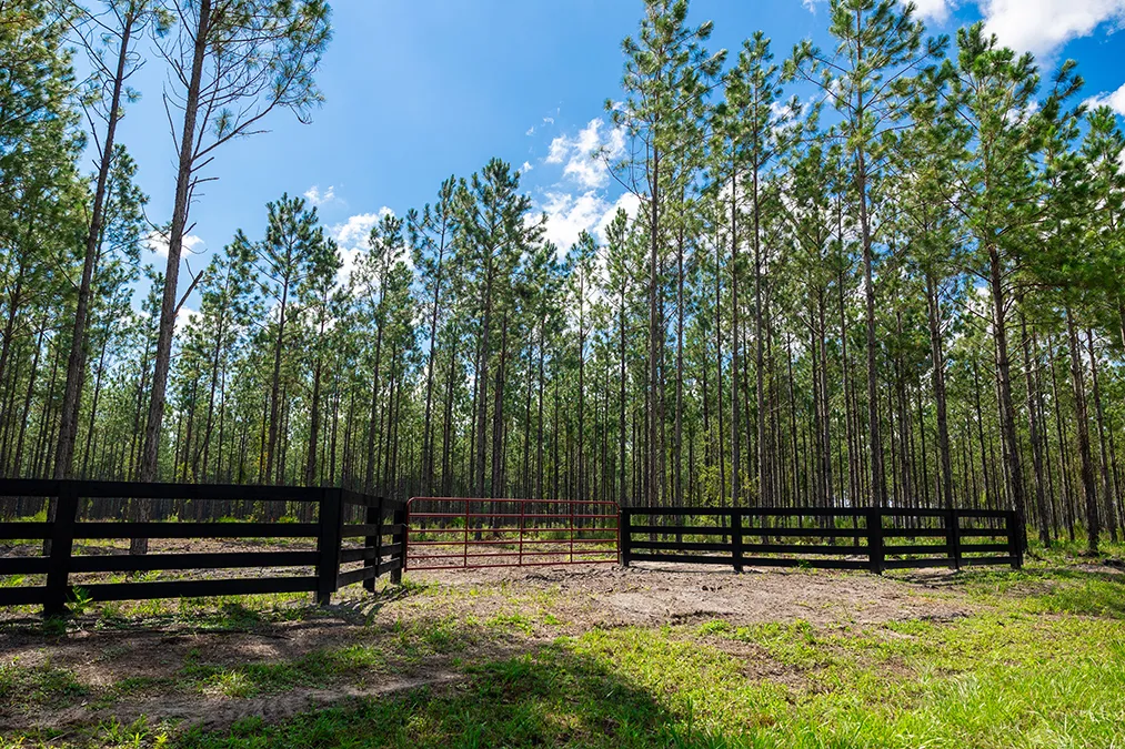 Hampton Pines Gate 3