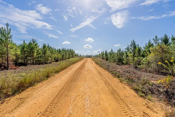 Little Alligator Creek Lot6 2